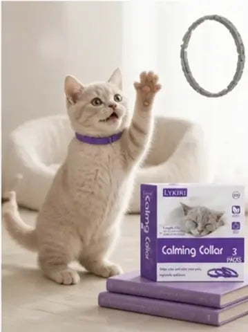 Sized for cats, not scaled down from a dog collar